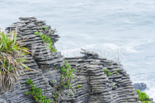 Picture of Pancake rock